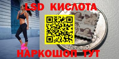 ГАЛЛЮЦИНОГЕННЫЕ ГРИБЫ Заволжье